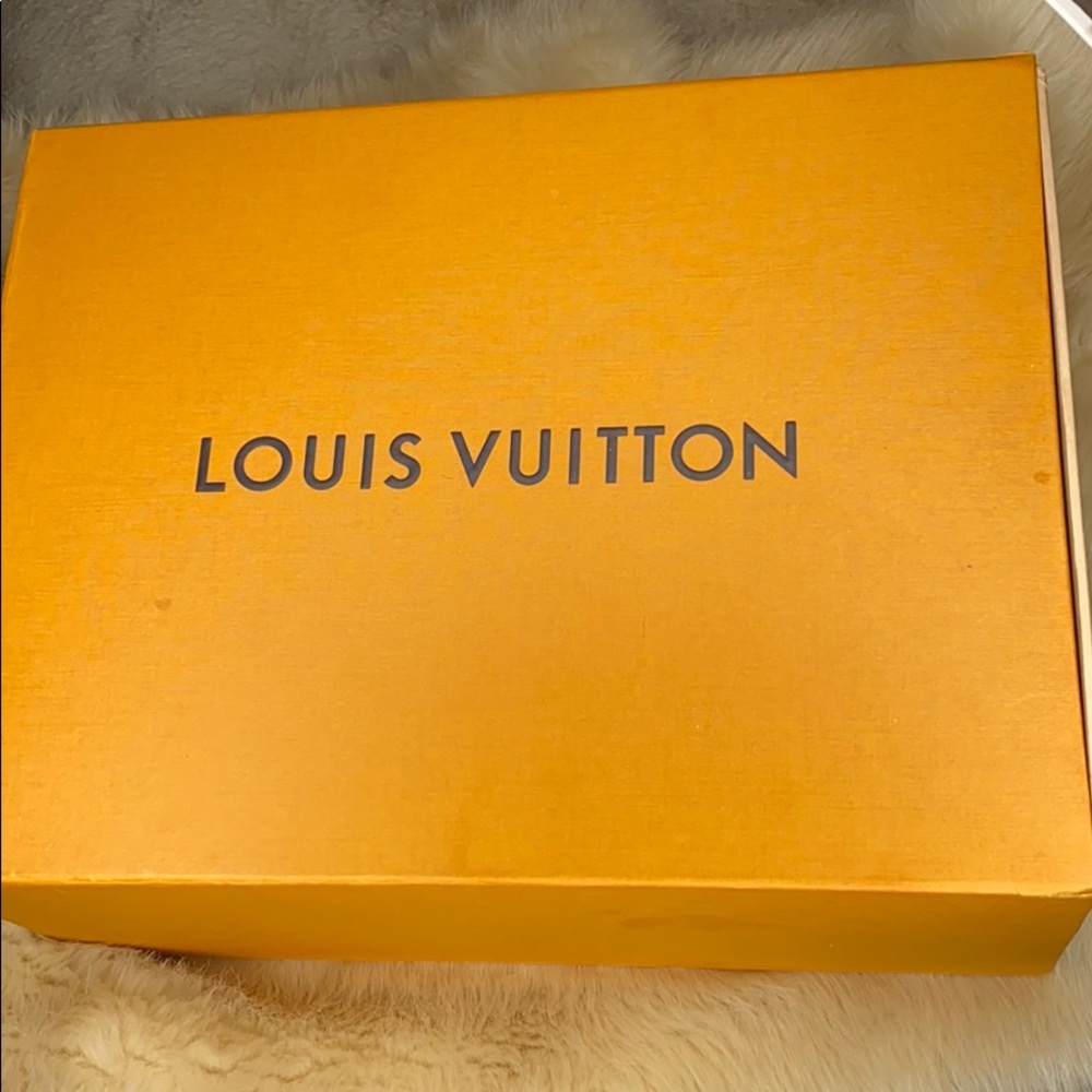 Louis Vuitton shoe box